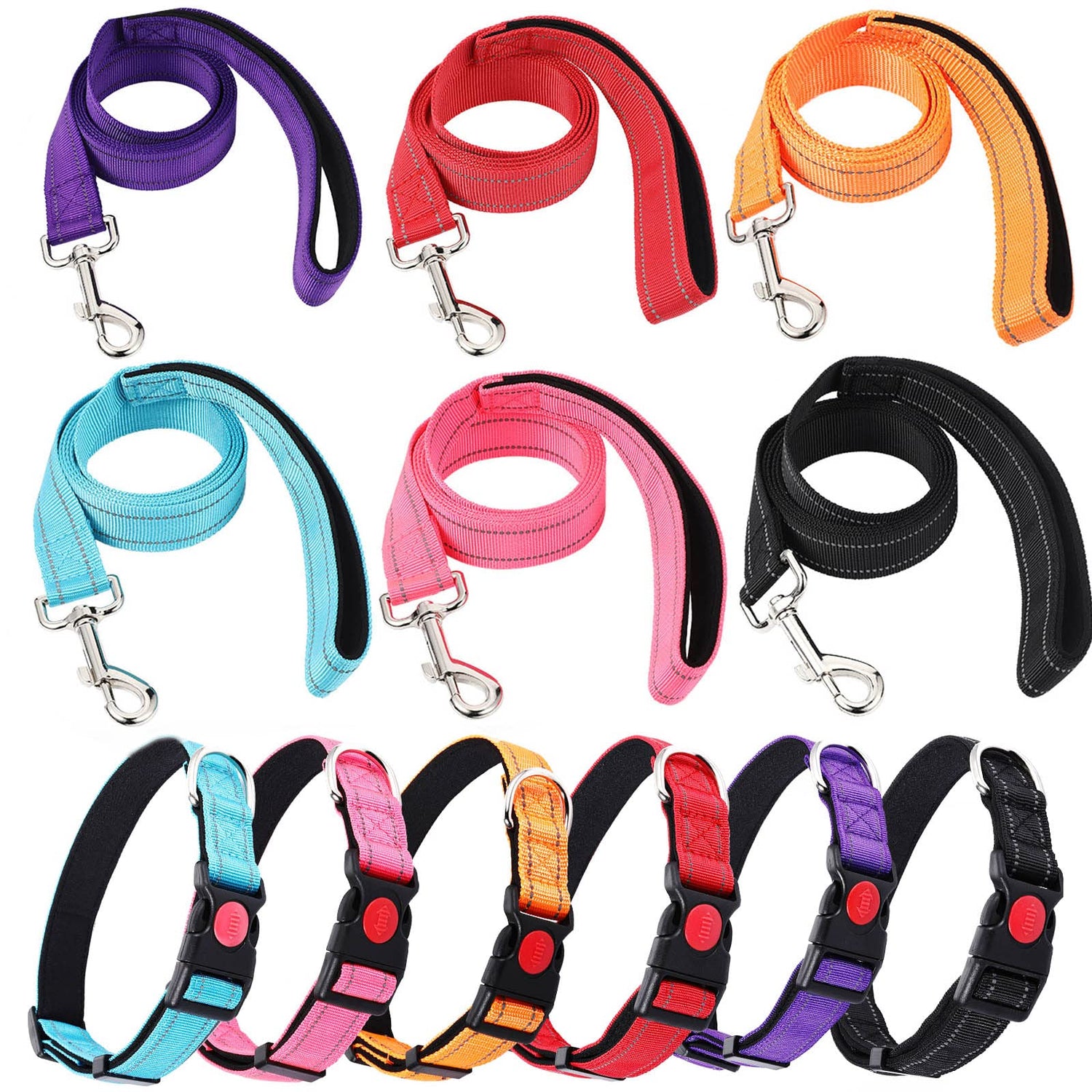 Collars and Leashes