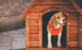 Pet homes